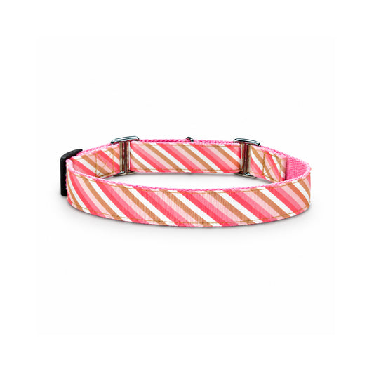 ARAMESH Blush Cotton Martingale Collar