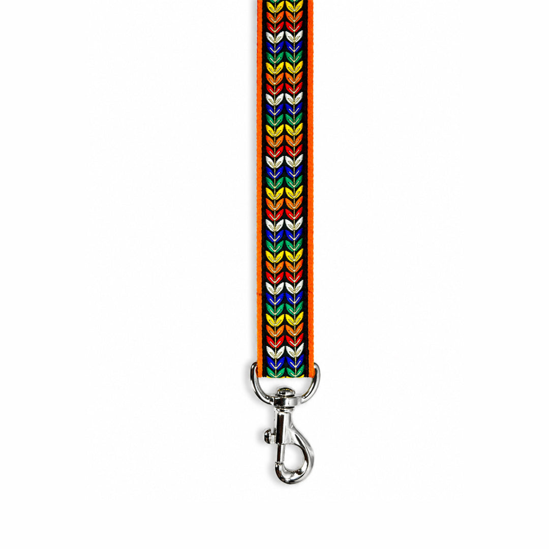 ARAMESH Colourful Trails Cotton Leash