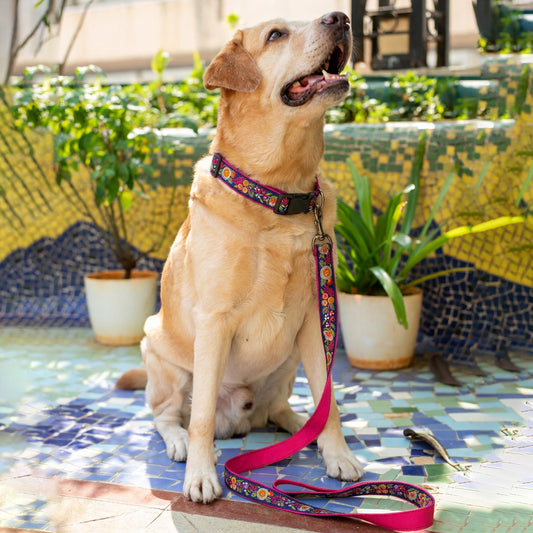 ARAMESH Gulzaar Cotton Collar & Leash Set