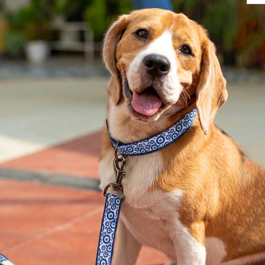 ARAMESH Nazar Charm Cotton Collar & Leash Set