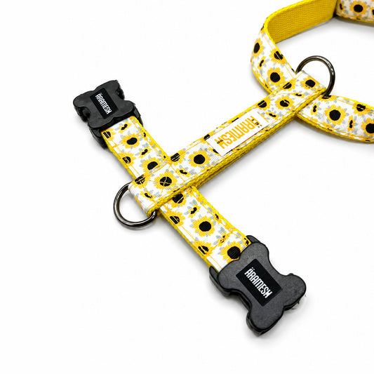 ARAMESH Sunny Days Cotton H-Harness