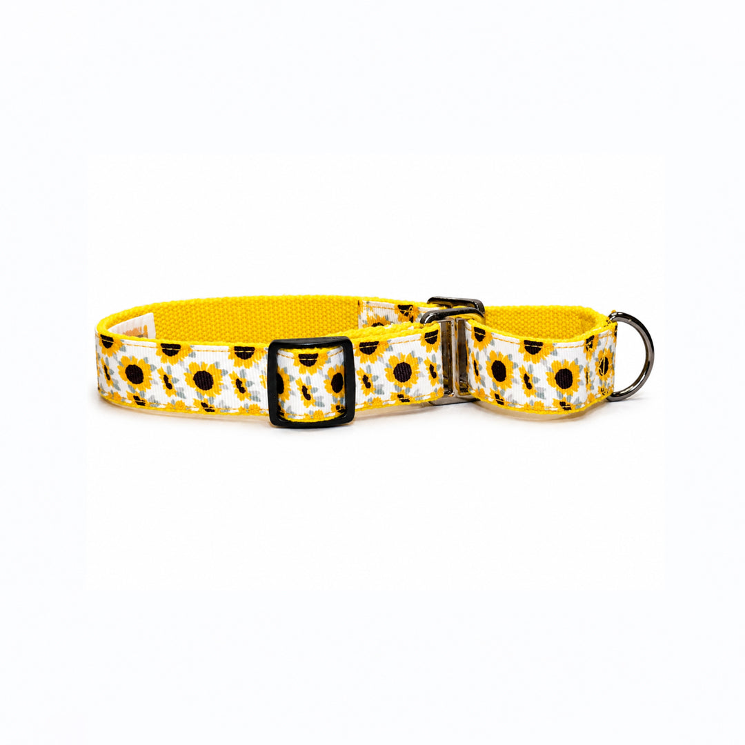 ARAMESH Sunny Days Cotton H-Harness