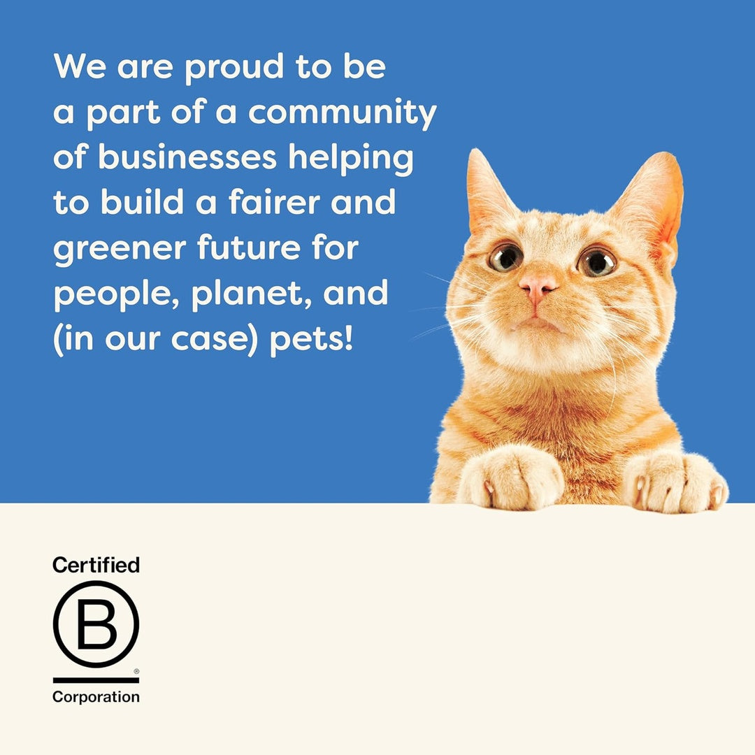 Applaws Natural Premium Wet Cat Food for Adult Cats, Chicken Breast in Broth 70g Can