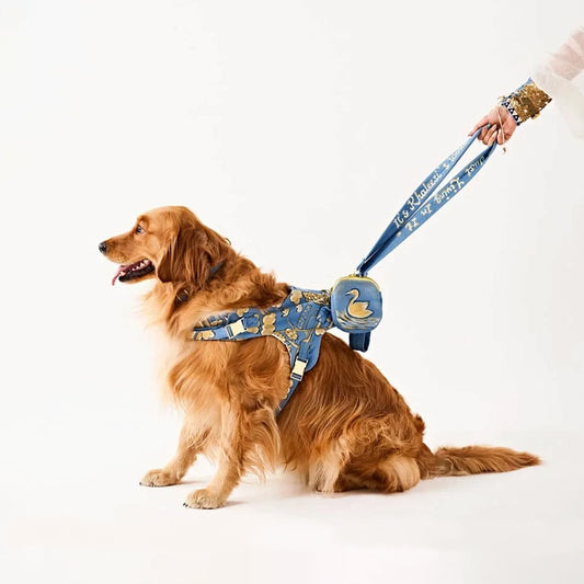 Ashna Vaswani Blue Majesty Swan Dog Collar, Harness And Leash