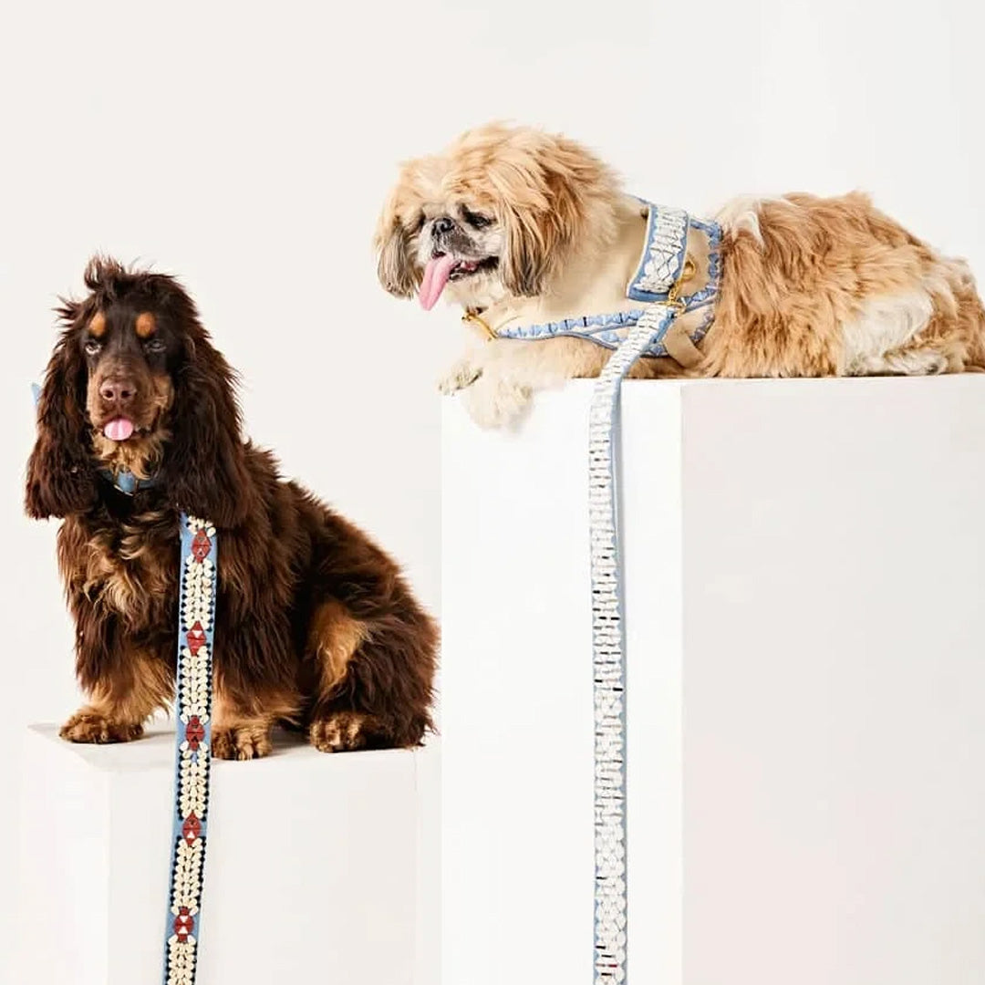 Ashna Vaswani Frosted Jewel Luxe Dog Collar And Leash