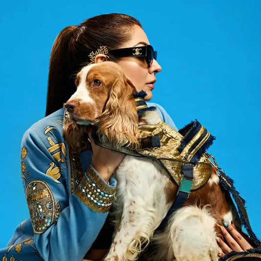 Ashna Vaswani Imperial Gold Edition Dog Collar, Harness And Leash