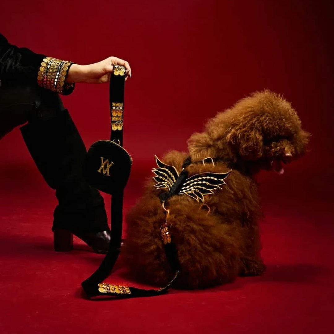 Ashna Vaswani Royal Winged Luxe Dog Collar, Harness And Leash