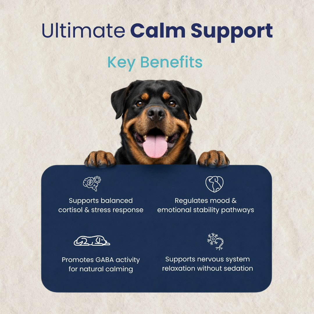 AyurPet CoolCalm+ | Calming & Behavioral Support for Dogs
