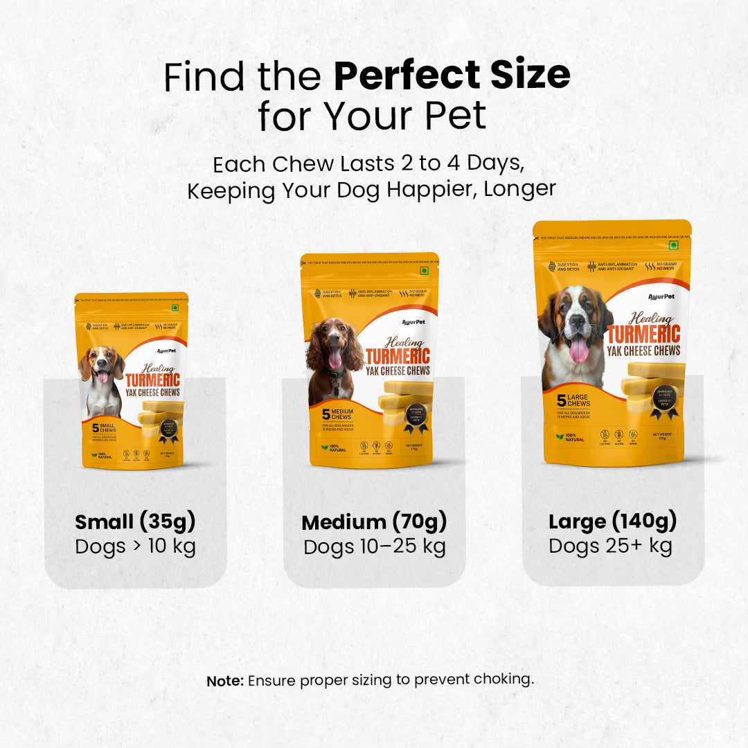AyurPet Healing Turmeric Yak Cheese Chews | 6-Hour Long Lasting Dental Chew | Natural, 100% Veg, Protein-Rich
