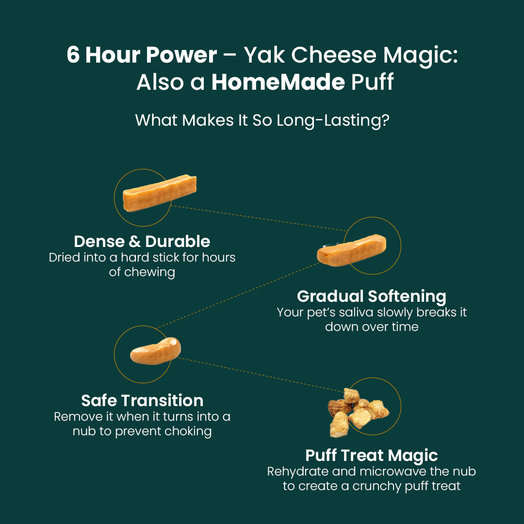 AyurPet Original Himalayan Yak Cheese Chews | 6-Hour Long Lasting Dental Chew | Natural, 100% Veg, Protein-Rich