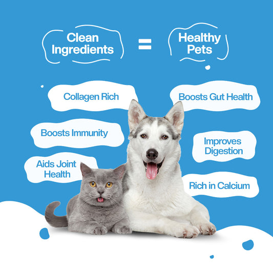 BLEP Chicken Broth for Cats & Dogs | 100ml | 10 Pack