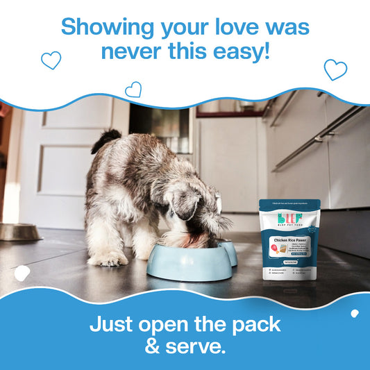 BLEP Chicken Rice Dog Wet Food Trial Pack | 100g | 5 Pack