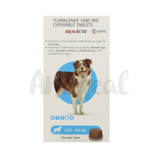 BRAVECTO (20-40KG) DOG TABLET - Animeal
