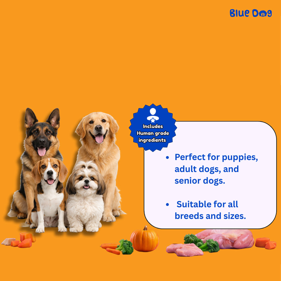 Bluedog Chicken & Vegetable Instant Soup