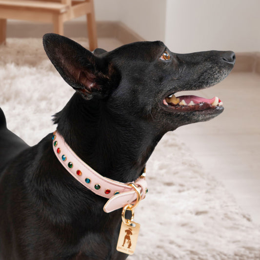 Bruni Boi Blush Pink Leather Dog Collar
