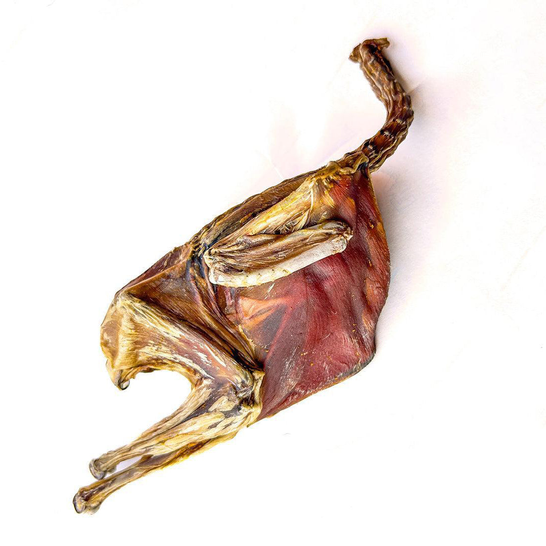 Delsi Chews Quail