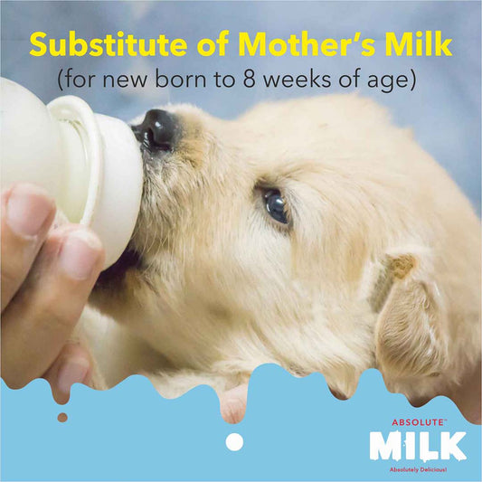 Drools Absolute Milk for Newborn Puppies, 500g