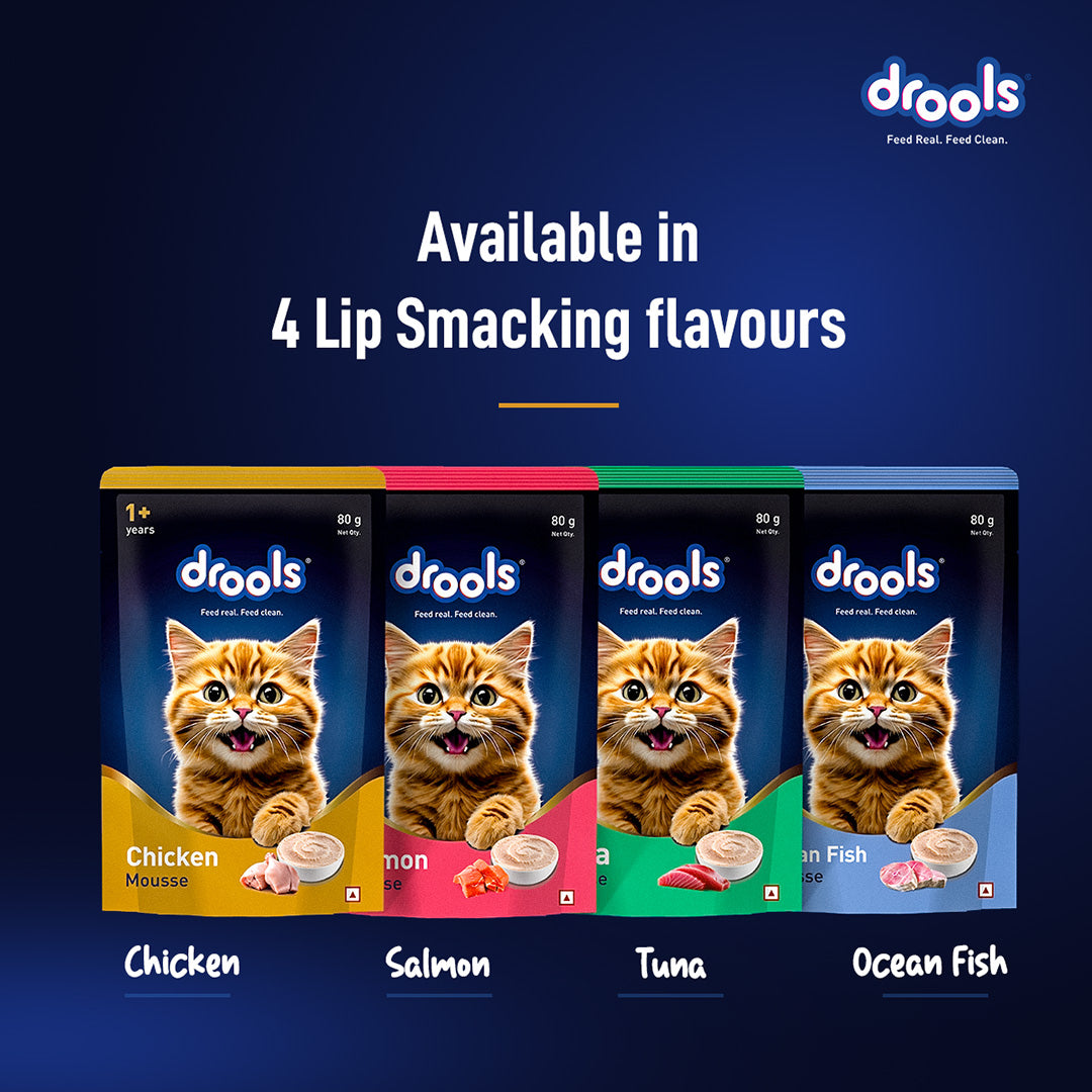 Drools Chicken Mousse Cat 80gm (5+1) Pc