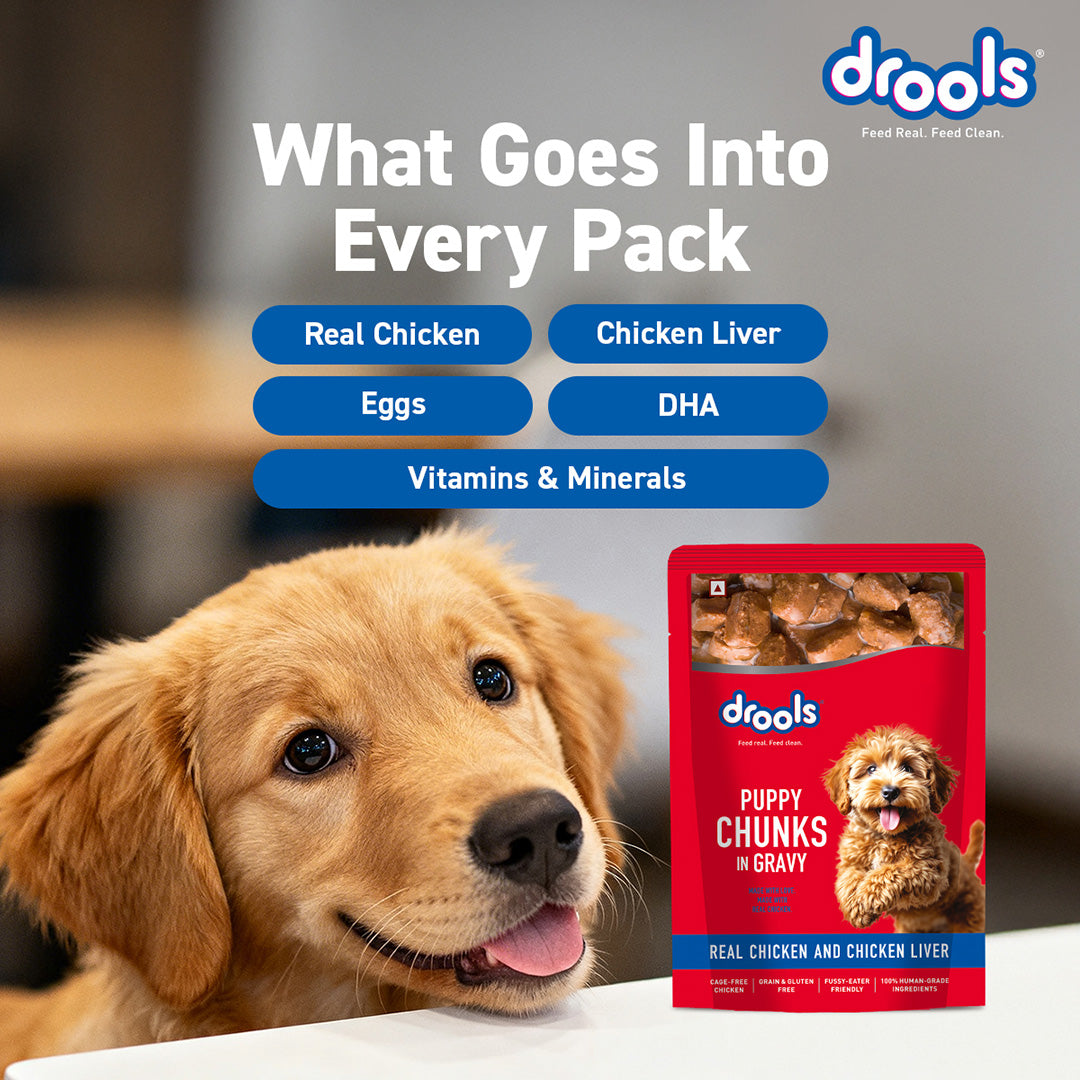 Puppy Chicken Chunks Gravy 60g (10+2)Pc
