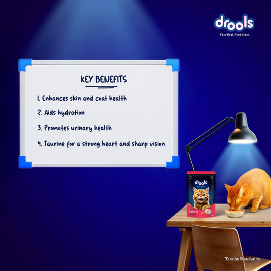 Drools Salmon Mousse Cat 80gm (5+1) Pc