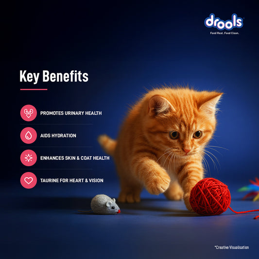 Drools Salmon Mousse Kitten 80gm (5+1) Pc