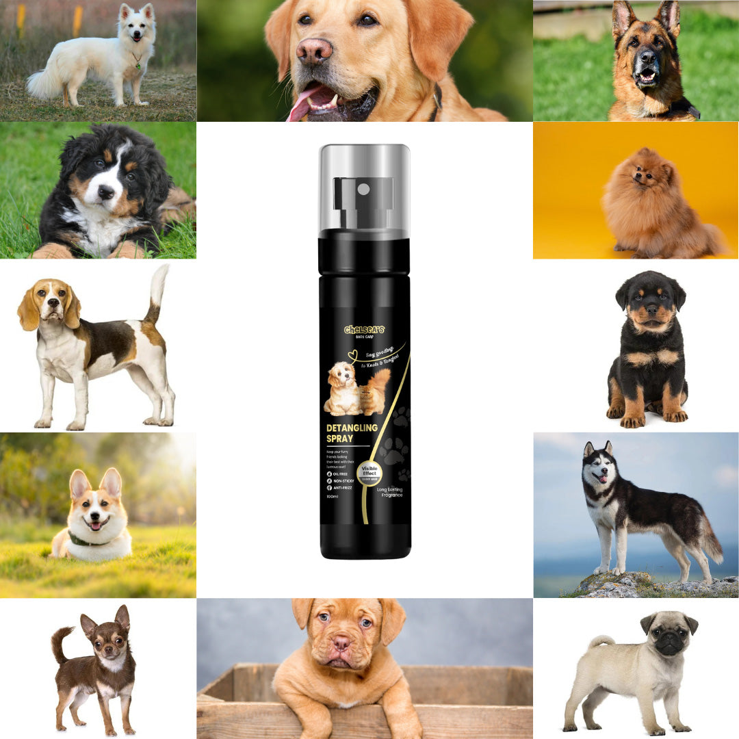 Chelsea's Detangling Spray for Dog