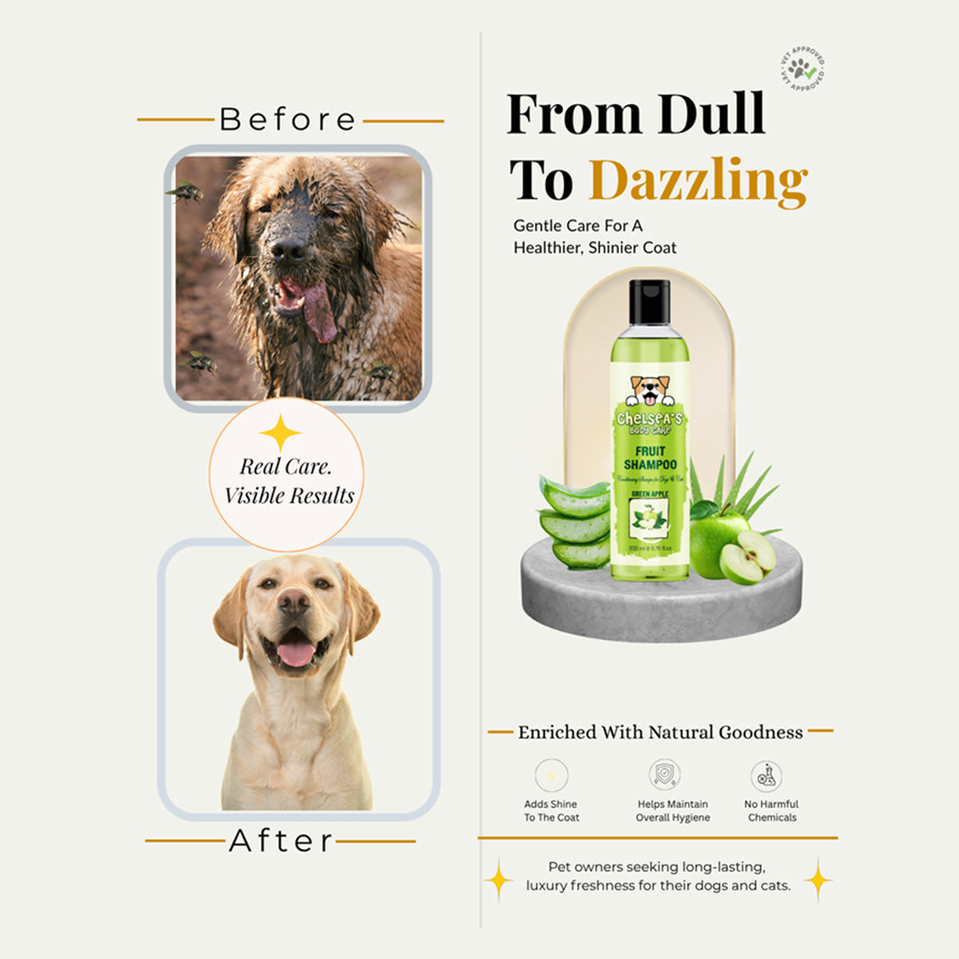 Dr. Chelsea's Green Apple Fruit Conditing Shampoo for Dogs & Cats