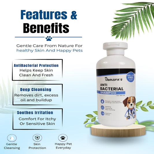 Dr. Chelsea’s Anti Bacterial Dog Shampoo