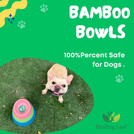 Healing Leaf Bamboo Bowl | Green