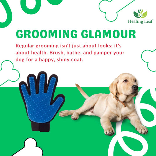 Healing Leaf Pet Grooming Combo - Pack of 3
