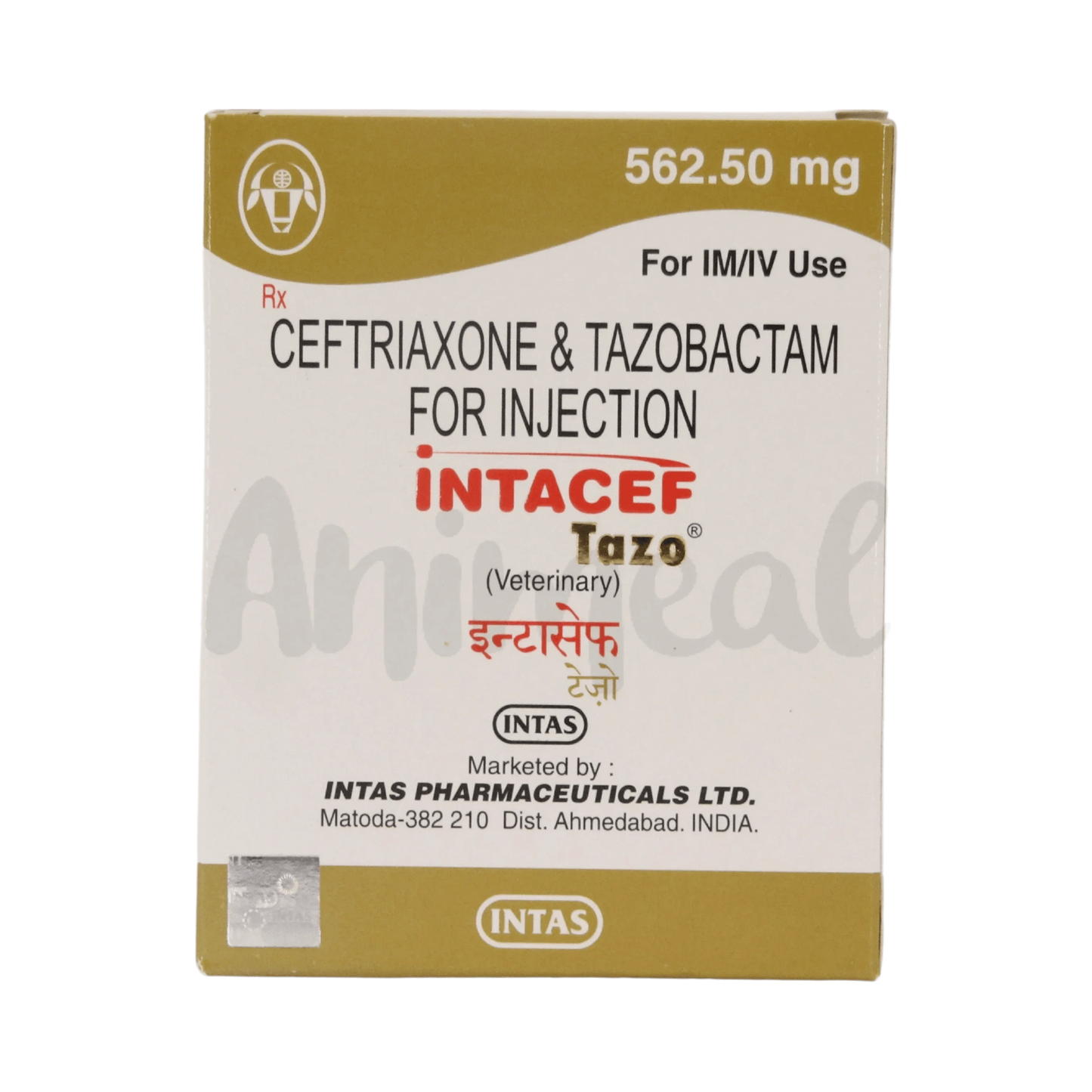 INTACEF TAZO PET 562.50MG INJ - Animeal