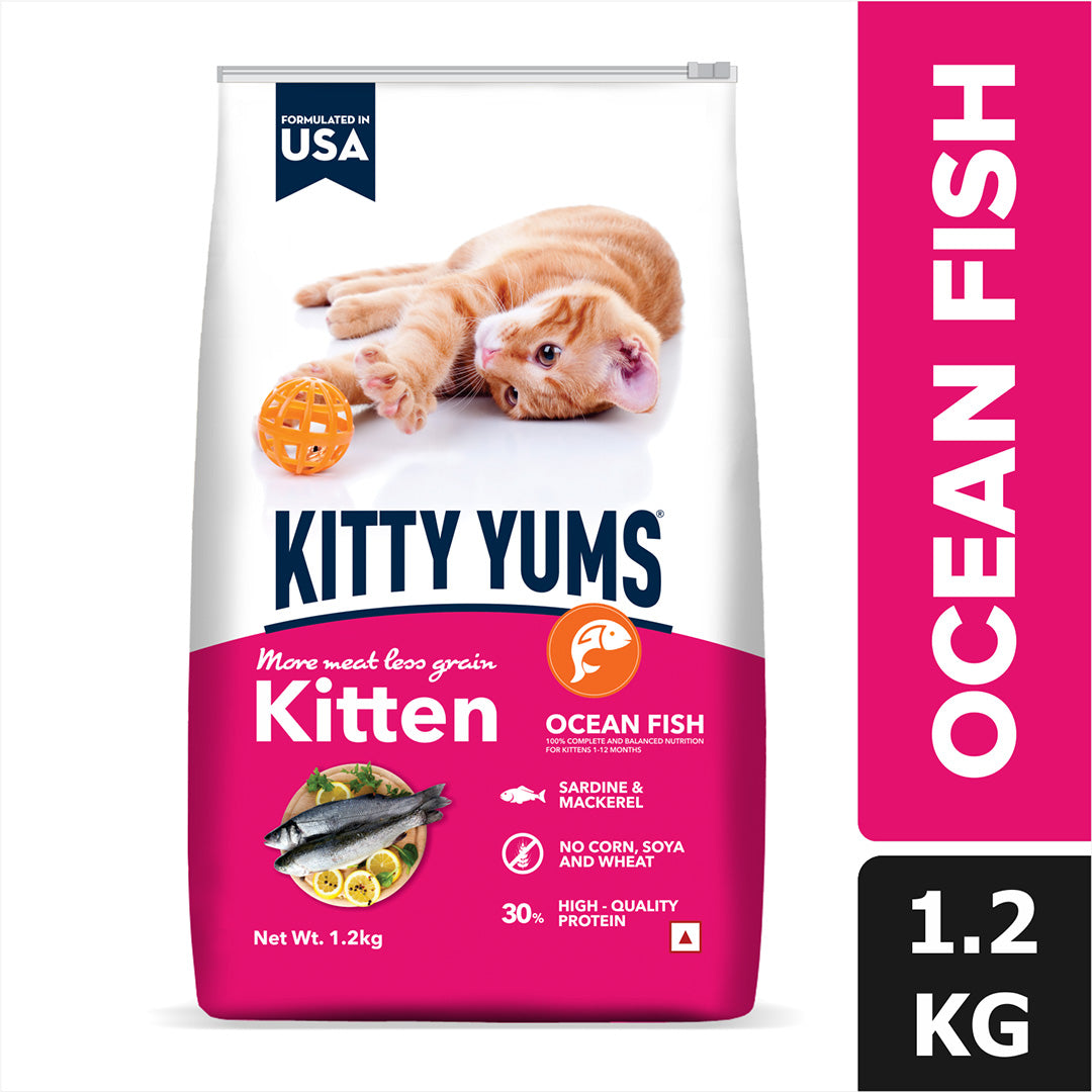 Kitty Yums Kitten(1-12 Months) Dry Cat Food, Ocean Fish, 1.2kg