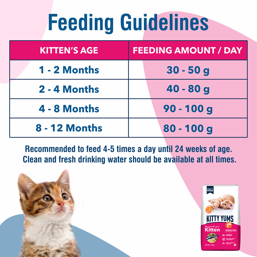 Kitty Yums Kitten(1-12 Months) Dry Cat Food, Ocean Fish, 3kg