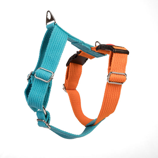 Let's Wag Training & Safety Design H - Harness - Cobalt Blue & Orange