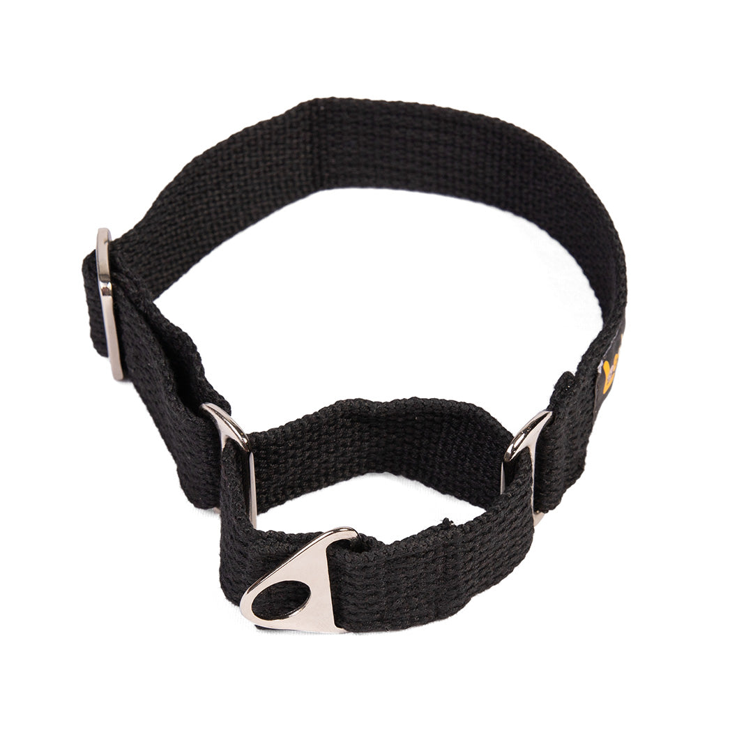 Let's Wag Martingale Fabric Dog Collar - Black