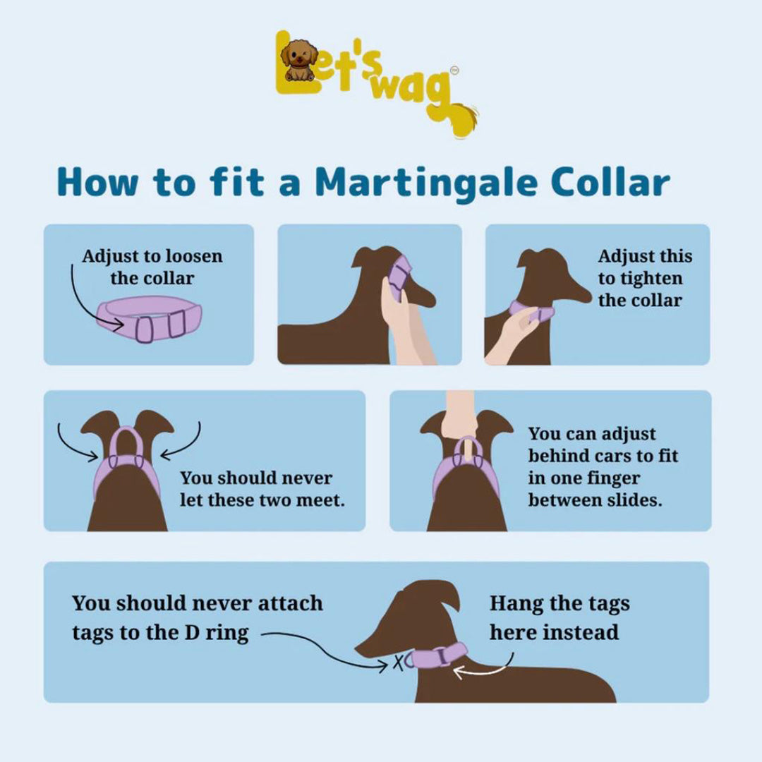 Let's Wag Martingale Fabric Dog Collar - Red