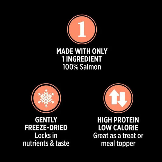 Nutrience Cat Freeze dried Salmon Treat- 25g