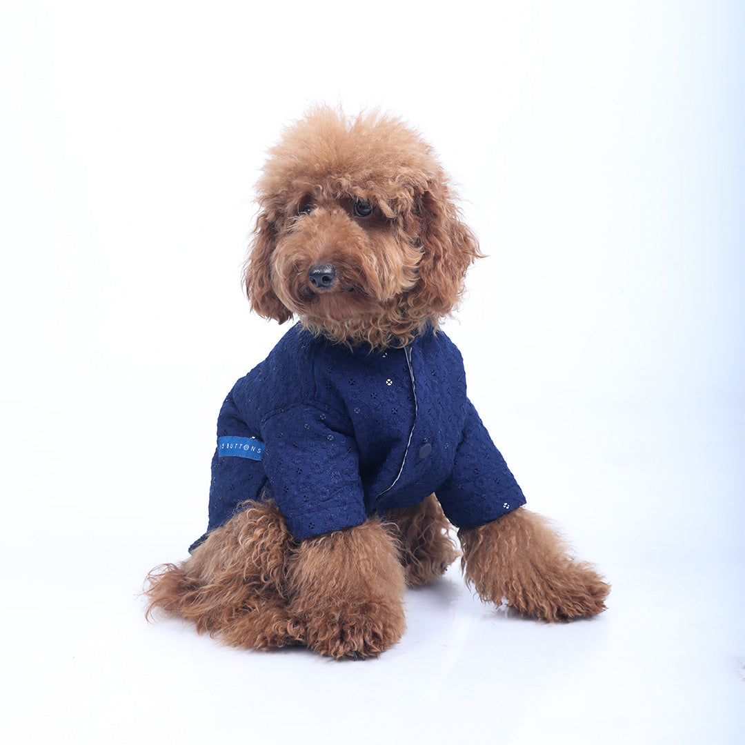 Petsnugs Blue Sherwani for Dogs
