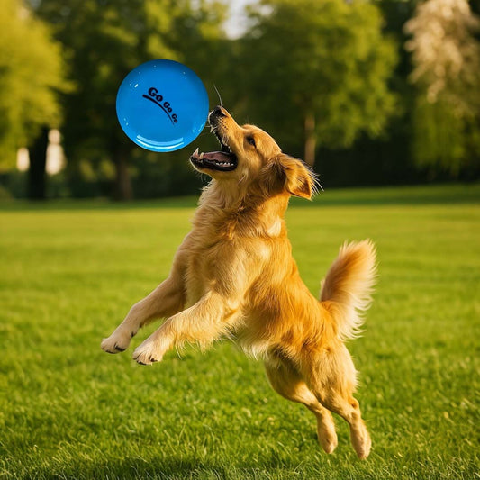 Talking Dog Club Pop Light weight Frisbee - Blue