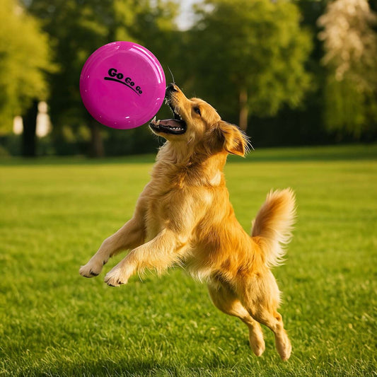 Talking Dog Club Pop Light weight Frisbee - Pink