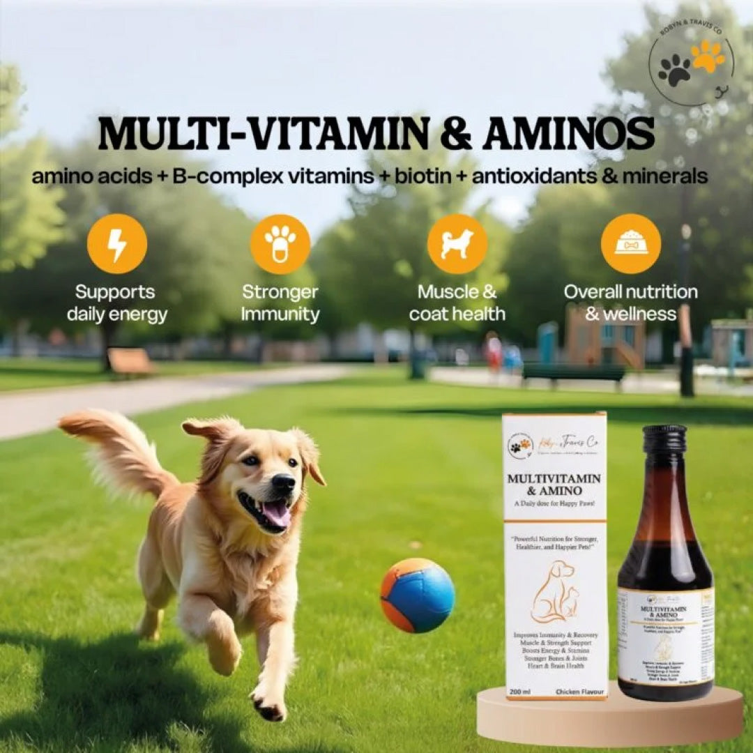 Robyn & Travis Co Multivitamin & Aminos Syrup | For Dogs & Cats