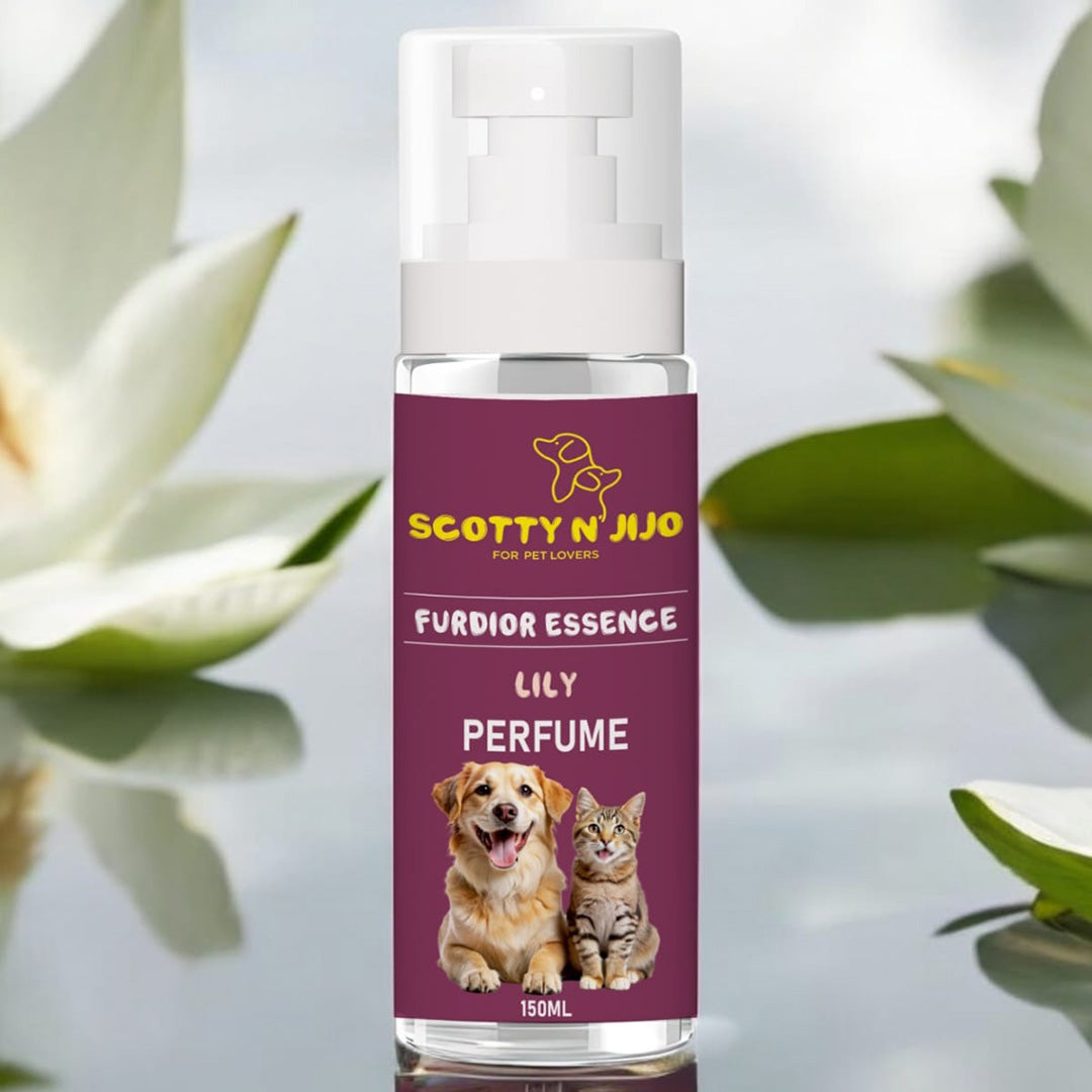 Scotty n' Jijo Furdior Essence-Lily