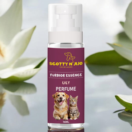 Scotty n' Jijo Furdior Essence-Lily