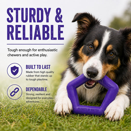 Talking Dog Club Talking Dog Club - Sturdy - Hexagon Floater - Natural Rubber Toy
