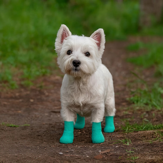 Talking Dog Club Cover them Paws - Self Adhesive Wraps - Aqua Green