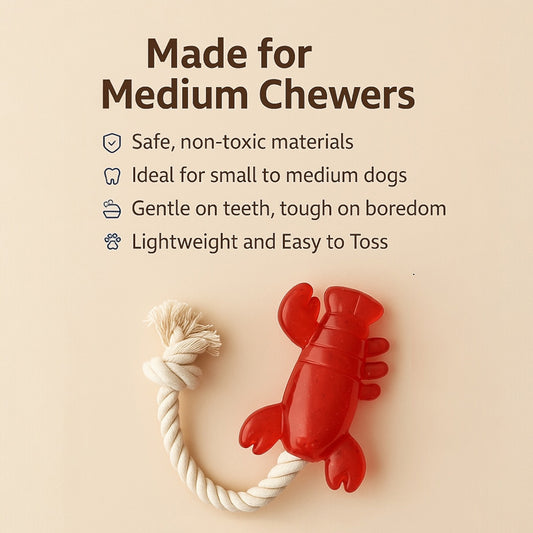 Talking Dog Club Lobster with Rope Treat dispenser Toy for dogs
