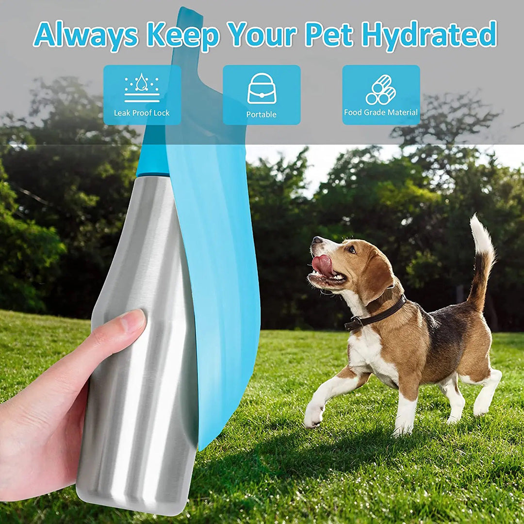 Talking Dog Club Stainless Steel Travel Water Bottle for Dogs - Blue