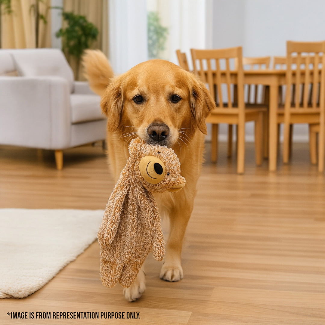 Talking Dog Club Teddy Bear Plush Crinkle Toy