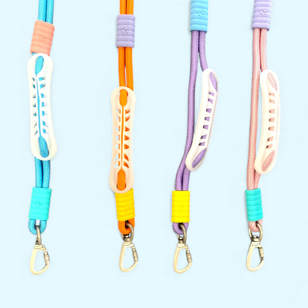 Talking Dog Club Vivid - Bright Color Extra Stong Leash - Blue Leash/ Green Handle