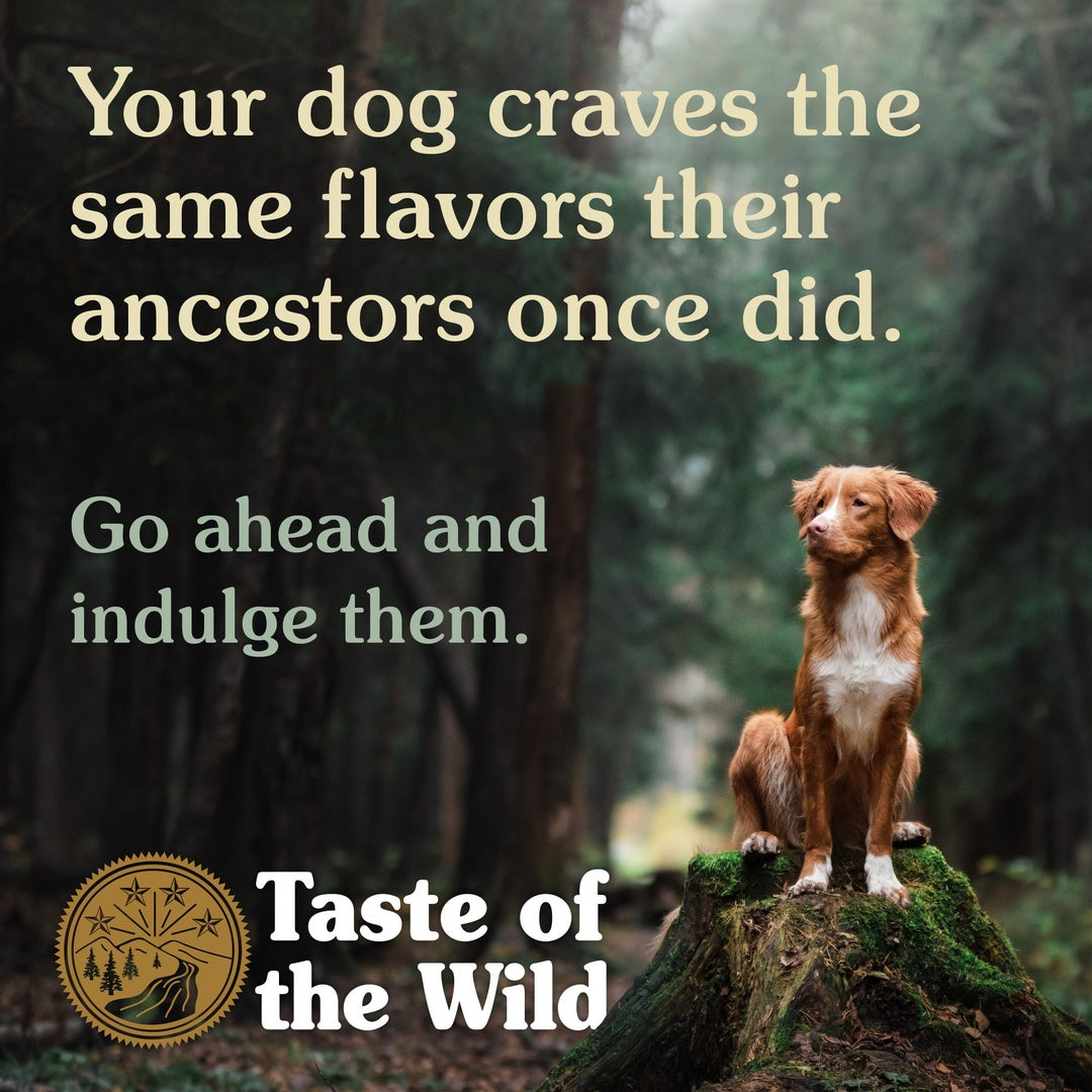 Taste of the Wild Dry Dog Food Wetlands Canine (Wild Fowl) 5.6-Kg